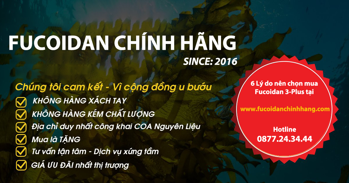 Nấm Agaricus – “khắc tinh” chống ung thư, tăng hệ miễn dịch trong Fucoidan 3-Plus