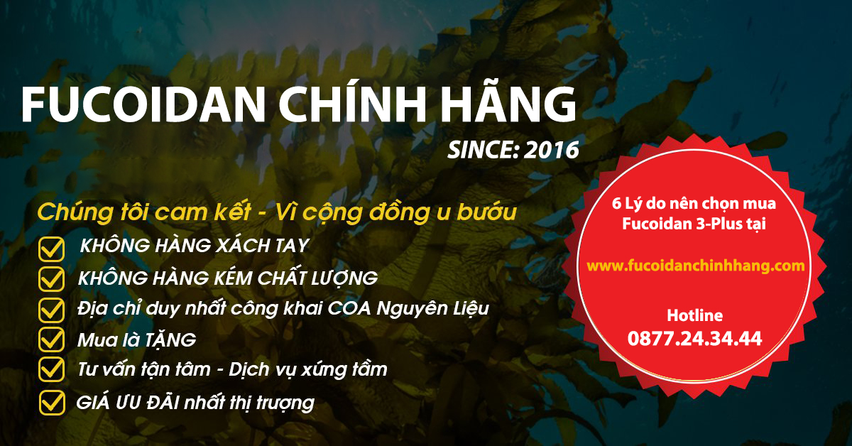 Nấm Agaricus – “khắc tinh” chống ung thư, tăng hệ miễn dịch trong Fucoidan 3-Plus