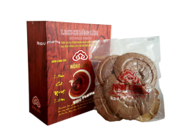 Linh Chi Nông Lâm Thượng Hạng 500g