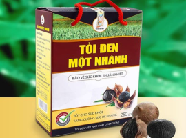 Tỏi đen cô đơn Việt Nam - hộp 250g